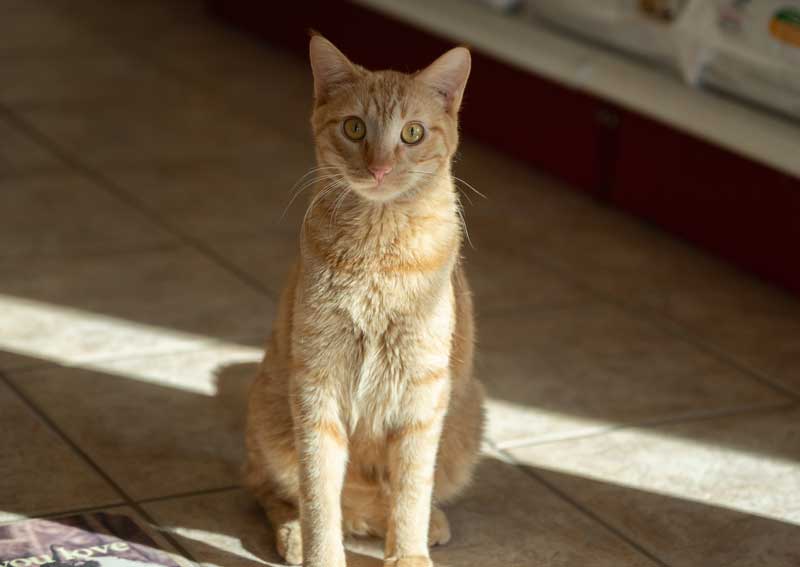 Carousel Slide 6: Aiden in the sun