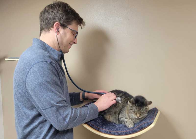 Carousel Slide 5: Learn more about us!