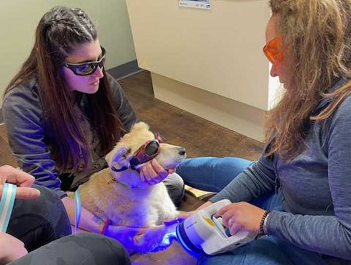 Laser Therapy